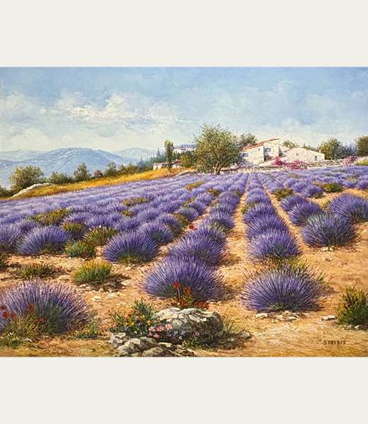Lavender Field